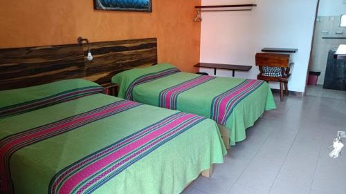 two beds in a hotel room with green and pink at El Rincón de Doña Bety in Oaxaca City
