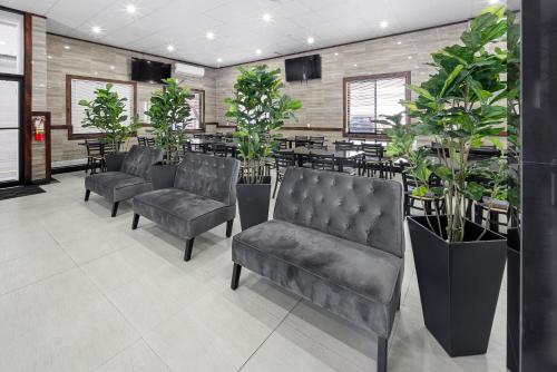 a waiting room with chairs and tables and plants at Highbridge Hotel in Bronx