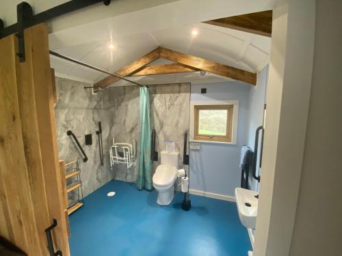 a small bathroom with a toilet and a sink at Hafan y Mynydd - Accessible double shepherd hut in Machynlleth