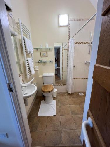 a bathroom with a toilet and a sink at Church Hill Farm in Lighthorne
