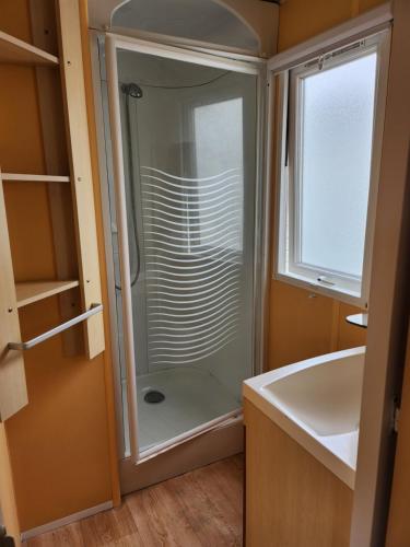 a bathroom with a shower and a sink at A casinha da aguieira na Lands Hause L6 in Burinhosa