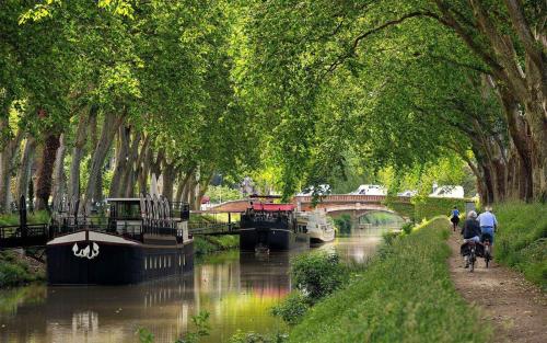 卡斯泰爾諾達里的住宿－Evasion dépaysante Canal du Midi * Terrasse & SPA，一条有桥的河流,人们在运河上骑着自行车