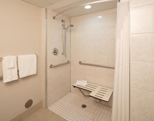 a bathroom with a shower with a bench in it at Holiday Inn Express Rochester - Greece, an IHG Hotel in Rochester