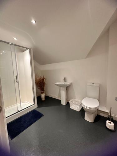 a bathroom with a toilet and a sink at Joe Kelly Buildings C in Withernsea