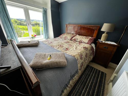 a bedroom with a bed and a window at Sleepy Hollow in Taunton