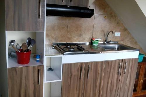 una piccola cucina con lavandino e piano cottura di La casa de chocolate 1 a Bogotá