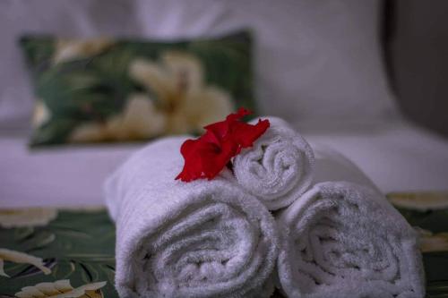 um par de toalhas com uma flor vermelha em Yaubula Accommodation em Nadi
