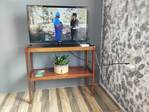 un televisor en un soporte de madera con una planta en Almendro apartments, en Fortuna