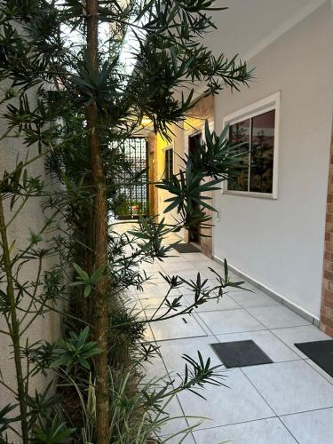 a courtyard with a tree in front of a building at BORA BORA RESIDENCE in Joinville