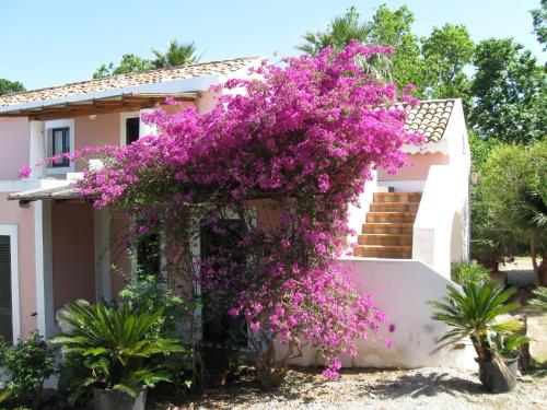Residence il Baglio – Photos 4