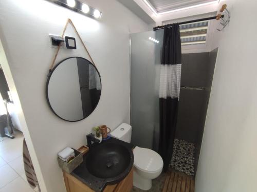 ein Bad mit einem WC und einem Spiegel in der Unterkunft Le Moubin in La Trinité