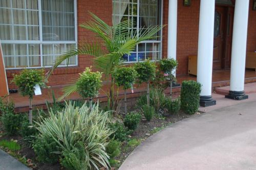 a house with plants on the side of it at Meramie Motor Inn in Albury