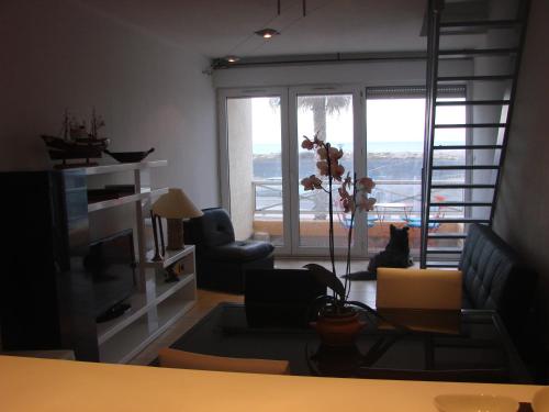 un salon avec un chat assis sur une chaise regardant par la fenêtre dans l'établissement LE Jasmin, à Fleury