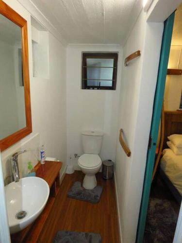 a small bathroom with a toilet and a sink at De Kelder in Cape Town