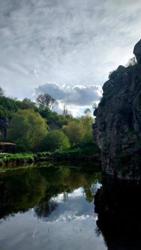  Zove Rural Cottage with garden views -  Room  picture :   Shower    Hairdryer    Iron                           