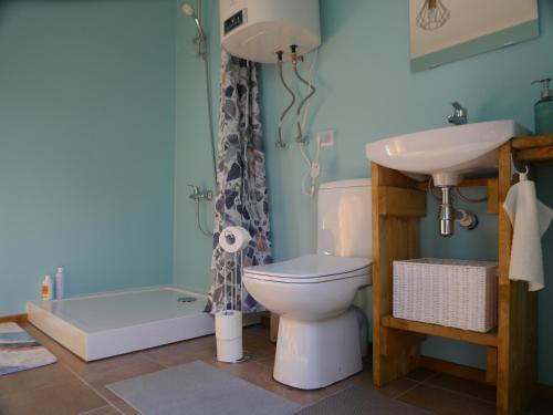 a bathroom with a toilet and a sink at Mežurgu teltis in Dikļi