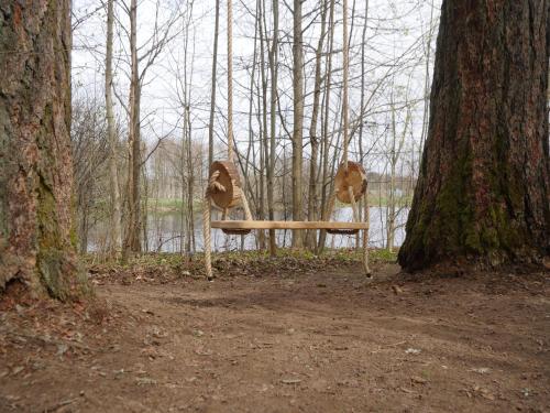 a bench sitting in the woods next to a tree at Mežurgu teltis in Dikļi