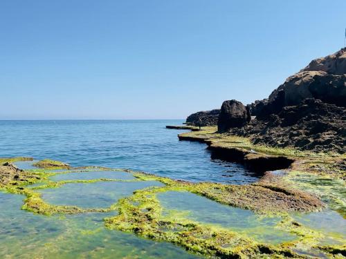a view of the ocean with rocks and algae at Apartment Familiale Al-Hoceima, Vue sur mer in Bâdes