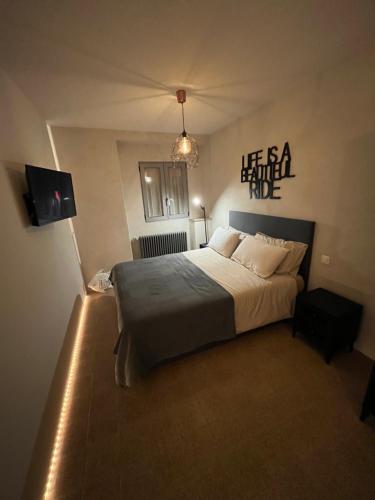 a bedroom with a large bed in a room with a tv at Relais Flora Arzo Appartamento superior di vacanza con posteggio in Mendrisio