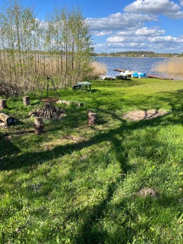 a field of grass next to a body of water at Apartament z tarasem w sercu mazur z prywatną plażą in Regiel