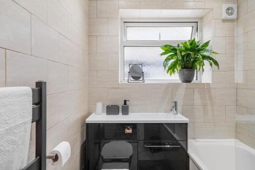 a bathroom with a sink and a potted plant at Stylish Maisonette near the heath with Free parking & Wi-Fi in Kent