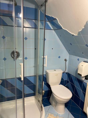 a blue tiled bathroom with a toilet and a shower at Fehér Hattyú Panzió in Orosháza