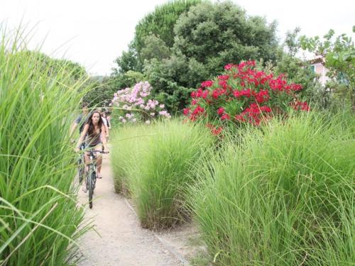 a woman riding a bike down a path through grass at Les Restanques rez jardin 2063 in Grimaud