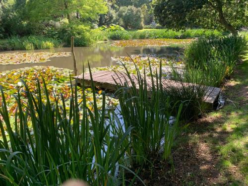 a garden with a pond with flowers and a wooden bridge at Amour Amour Love Room in Penvénan
