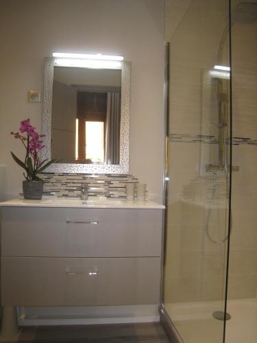 une salle de bain avec un lavabo et un miroir dans l'établissement PETITS ANGES, à Sarlat-la-Canéda