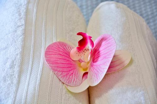 a pink and white flower on a white blanket at Saroko Studio in Corfu