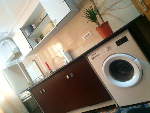a laundry room with a washing machine and a plant at Garsoniera in Dorohoi