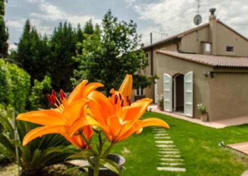 a large orange flower in the yard of a house at Casa Betta in SantʼAnsano