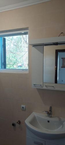 a bathroom with a sink and a window at Fruškogorska kuća - Andrevlje lounge, naselje Testera in Čerević