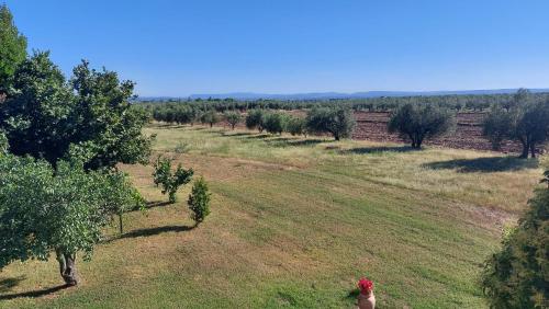 Billede fra billedgalleriet på Agriturismo La Corte - Viterbo Terme i Viterbo