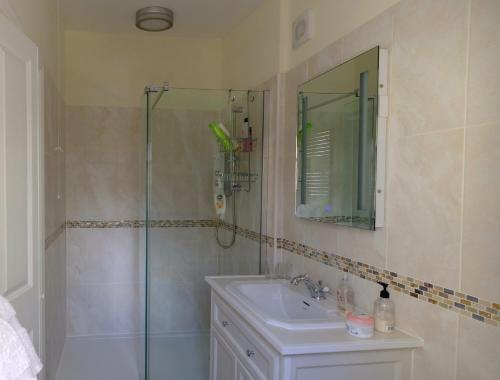 a bathroom with a shower and a sink and a mirror at The Garden Room in Woodbridge
