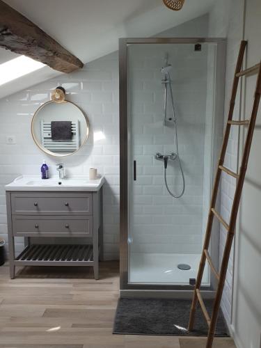 a bathroom with a shower with a sink and a mirror at Douceurs des vignes du Vivian in Denicé