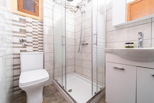 een badkamer met een douche, een toilet en een wastafel bij Arianna Studio Ground Floor 7 in Paleokastritsa