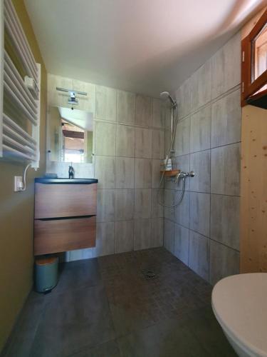 een badkamer met een wastafel en een douche bij Studio en bois independant avec terrasse et jardin in Villevieille