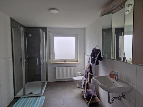 Dammbach的住宿－Geishöhe Landgasthof Rose Dammbach，一间带水槽、淋浴和卫生间的浴室