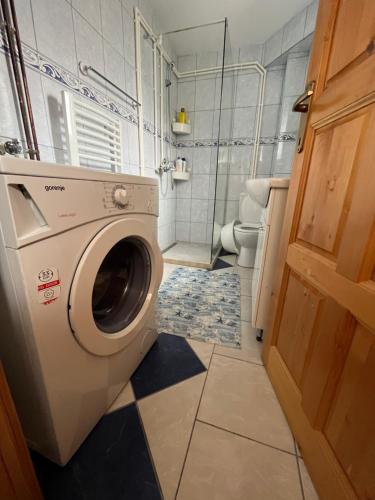 a washing machine in a bathroom with a toilet at Apartment Phillip in Žabljak