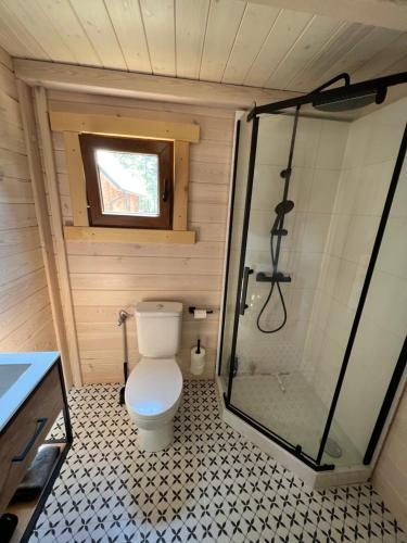 a small bathroom with a toilet and a shower at BORSKÓWKA domki z balią z jacuzzi in Borsk