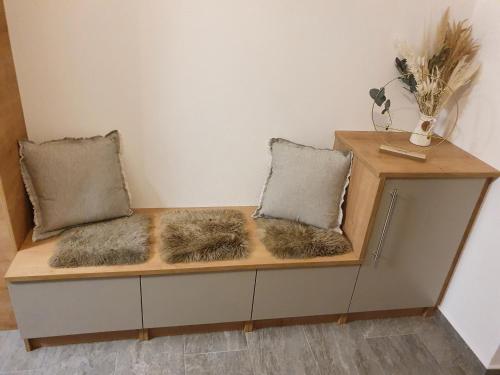 a couch with two pillows on top of it at Alpenflair in Berwang