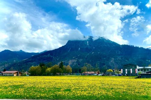 un campo de flores amarillas frente a una montaña en Studio Nebelhorn, en Oberstdorf