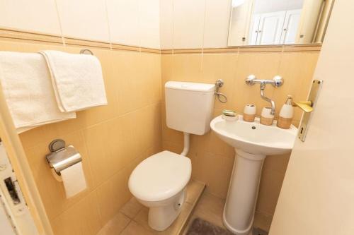 Baño pequeño con aseo y lavamanos en Sole Solei apartman 2 - Meljine, en Meljine