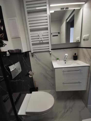 a bathroom with a toilet and a sink and a mirror at Chillout w Dolinie Bobru in Wleń
