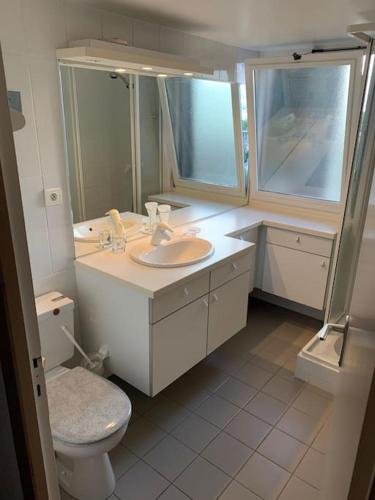 a white bathroom with a sink and a toilet at Duplex St Gervais rooftop - 500m des télécabines in Saint-Gervais-les-Bains