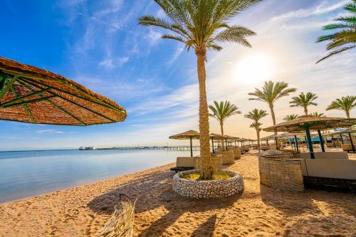 een strand met palmbomen en de oceaan bij Golden Beach Resort in Hurghada