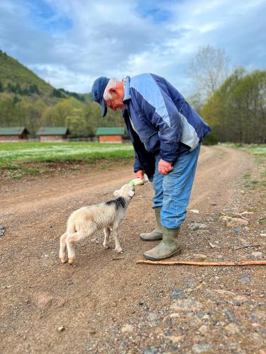 Domácí mazlíčci ubytovaní s hosty v ubytování Farma Sotira