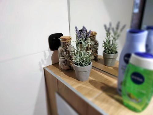 a row of plants in pots on a wooden shelf at theApartments Manufaktura in Łódź