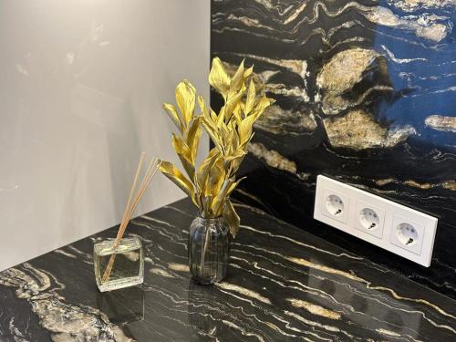 Galeriebild der Unterkunft BIRUTE AVENUE 2 BEDROOMS in Palanga